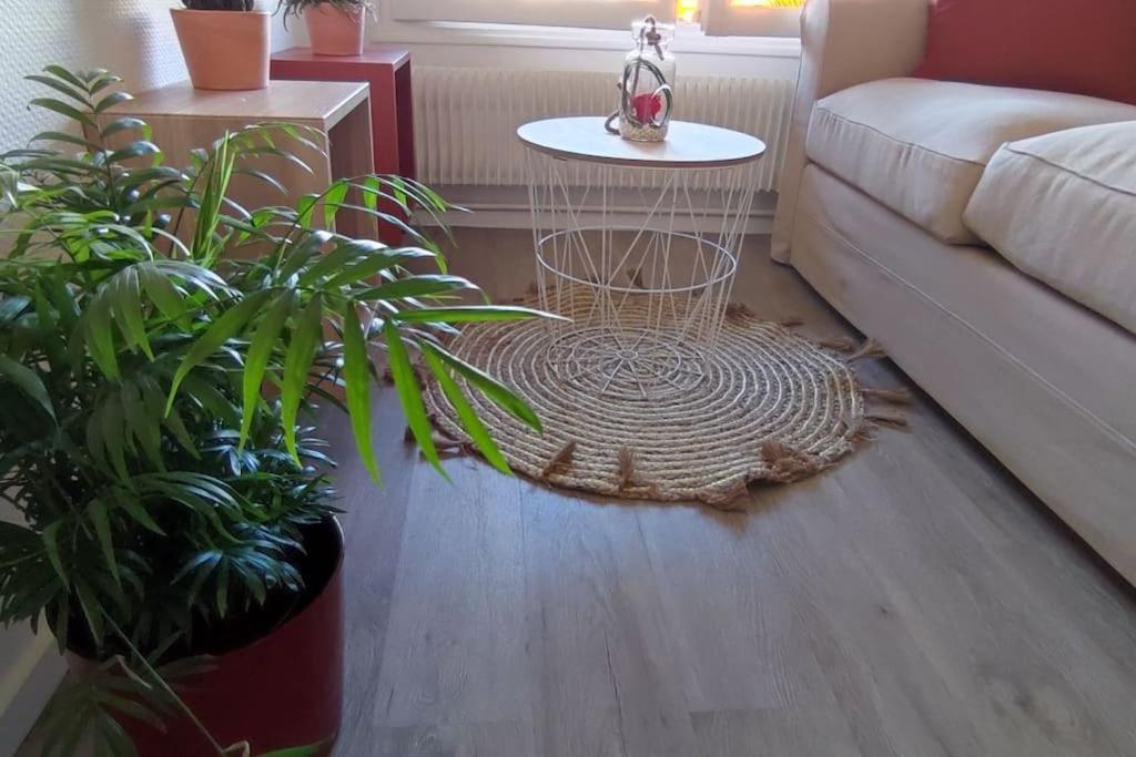 Le Septieme Ciel Clermont-Ferrand Cosy En Ville Zewnętrze zdjęcie